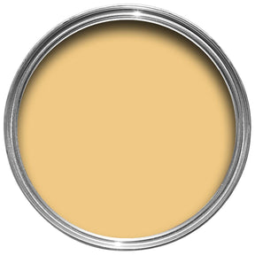 Farrow & Ball Sudbury Yellow Paint 51