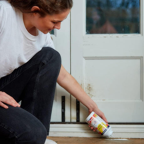 Zero In Ant & Insect Killer Powder - 300g