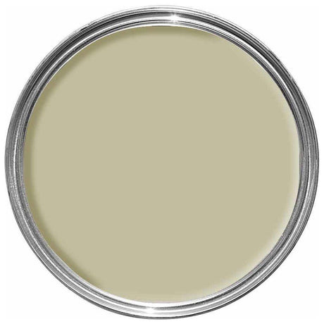 Farrow & Ball Ash Grey Paint W9