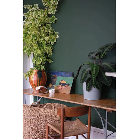 Farrow & Ball Duck Green Paint W55