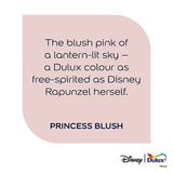 A square graphic with a pale blush pink rounded-corner panel on a white background, containing the quote: 'The blush pink of a lantern-lit sky – a Dulux colour as free-spirited as Disney Rapunzel herself.' and the text 'PRINCESS BLUSH' in dark navy.