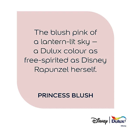 A square graphic with a pale blush pink rounded-corner panel on a white background, containing the quote: 'The blush pink of a lantern-lit sky – a Dulux colour as free-spirited as Disney Rapunzel herself.' and the text 'PRINCESS BLUSH' in dark navy.