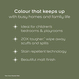 Dulux Easycare Disney Winnie The Pooh 100 Acre Green Matt Wall & Ceiling Paint | 1.25L