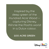 Dulux Easycare Disney Winnie The Pooh 100 Acre Green Matt Wall & Ceiling Paint | 1.25L