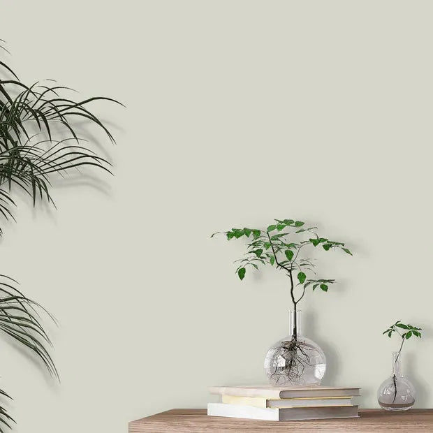 Little Greene French Grey Mid Paint 162
