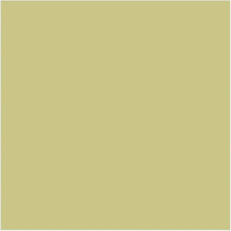 Little Greene Apple Paint 137 Interior & Exterior Wall Paint 