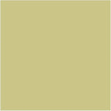 Little Greene Apple Paint 137 Interior & Exterior Wall Paint 