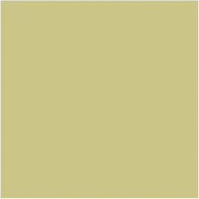 Little Greene Apple Paint 137 Interior & Exterior Wall Paint 