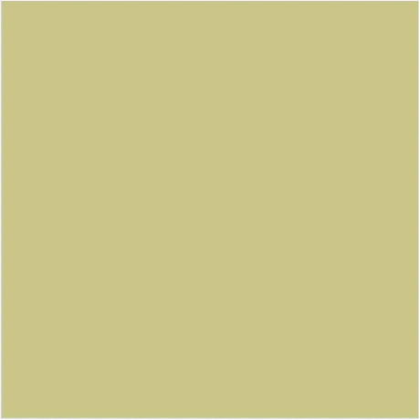 Little Greene Apple Paint 137 Interior & Exterior Wall Paint 