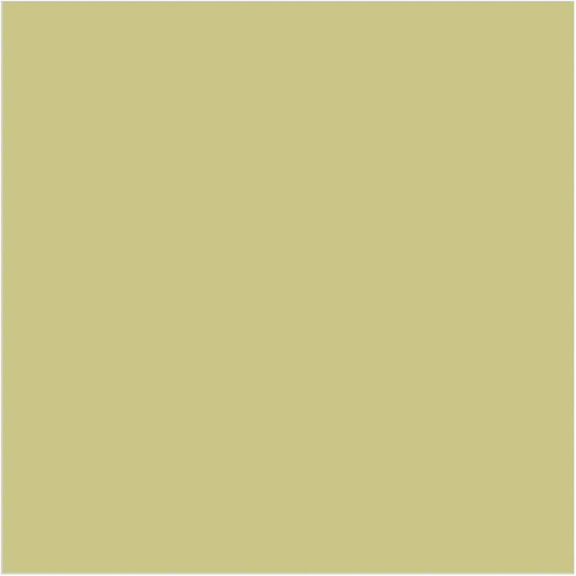 Little Greene Apple Paint 137 Interior & Exterior Wall Paint 