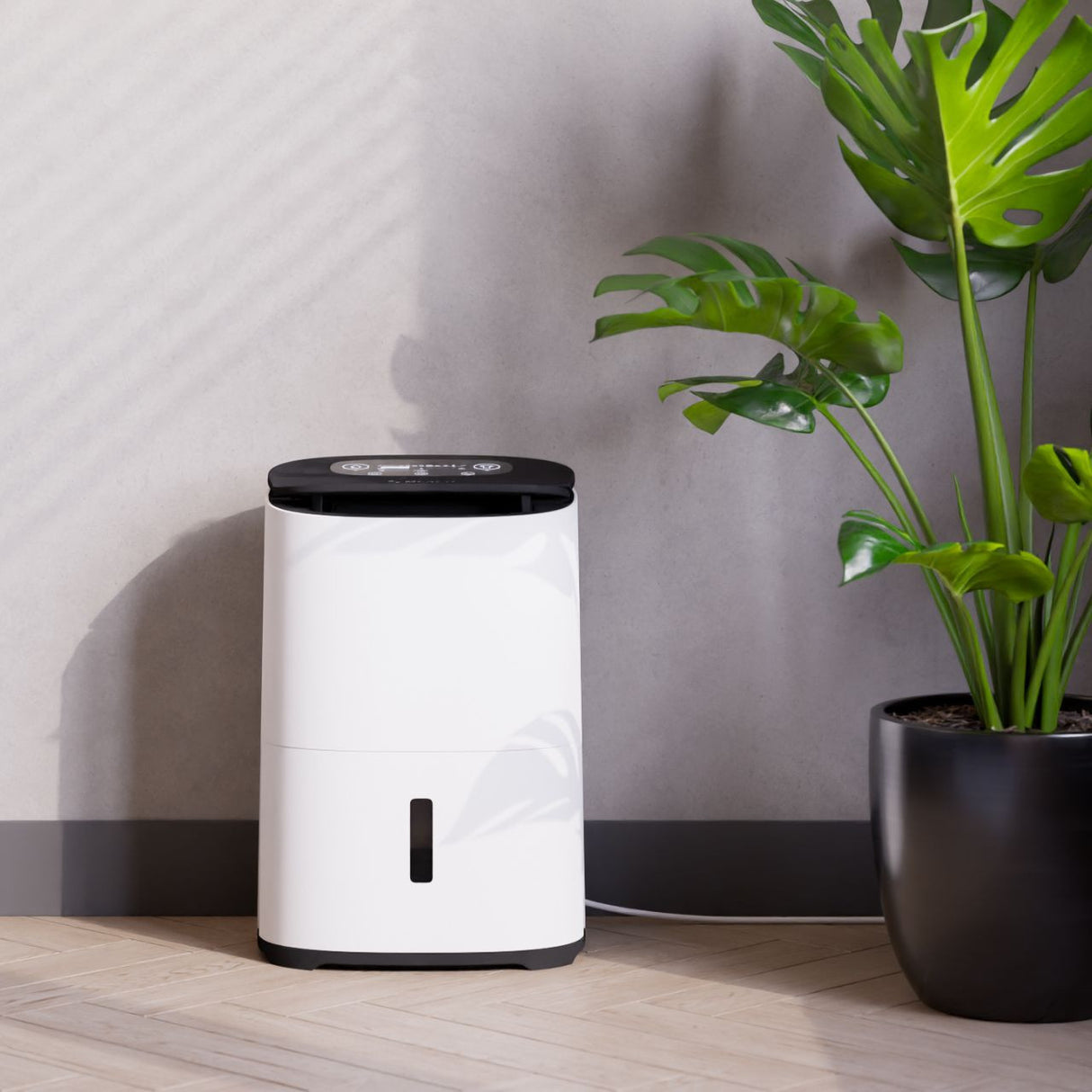 MeacoDry Arete® Two 12L Dehumidifier / Air Purifier