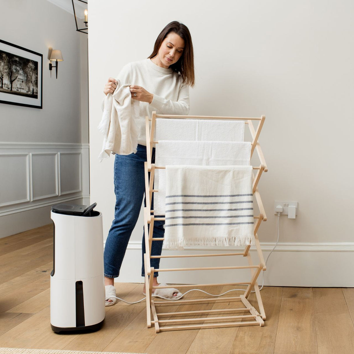 MeacoDry Arete® Two 20L Dehumidifier / Air Purifier