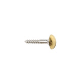 Phoenix Mirror Screws - 1.25" | Pack of 6