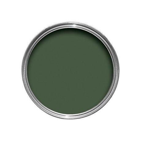 Farrow & Ball Duck Green Paint W55