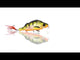 Westin Percy the Perch Crankbait 10cm/20g