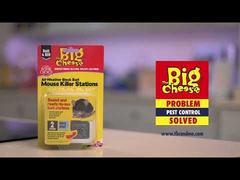 Big Cheese All-Weather Block Bait - 30 x 10g