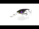 Westin BabyBite DR Crankbait - 6.5cm