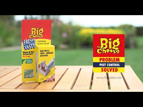 Big Cheese Mouse & Rat Attractant - 26g