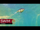 Westin Swim Glidebait - 10cm/34g