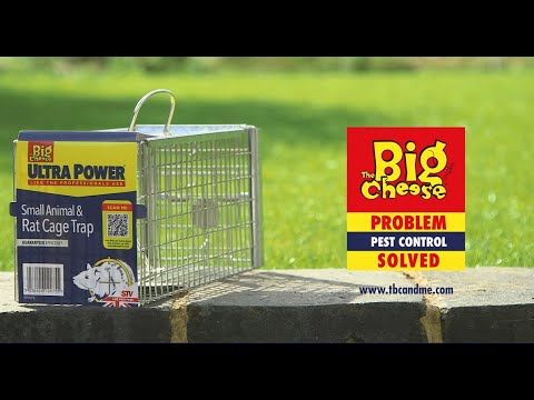 Big Cheese Rat Cage Trap