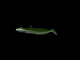 Westin Sandy Andy Weedless Jig | Spotted Sardine - 13cm/22g