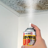 Zinsser CoverUp Spray Paint - White | 400ml