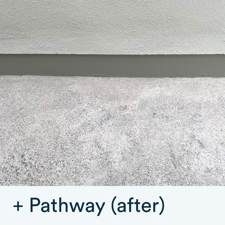 Buy the Actiwash Professional: Powerful Outdoor Biocide now. Available for dispatch in Ireland from Ted Johnson Ltd, Naas, County Kildare, W91 XW35. Problem Solved!