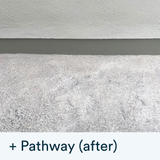 Buy the Actiwash Domestic: Powerful Outdoor Biocide now. Available for dispatch in Ireland from Ted Johnson Ltd, Naas, County Kildare, W91 XW35. Problem Solved!