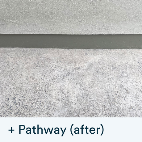 Buy the Actiwash Domestic: Powerful Outdoor Biocide now. Available for dispatch in Ireland from Ted Johnson Ltd, Naas, County Kildare, W91 XW35. Problem Solved!