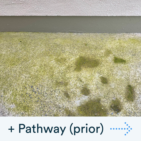 Buy the Actiwash Professional: Powerful Outdoor Biocide now. Available for dispatch in Ireland from Ted Johnson Ltd, Naas, County Kildare, W91 XW35. Problem Solved!