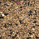 Wild Bird Mixed Seed