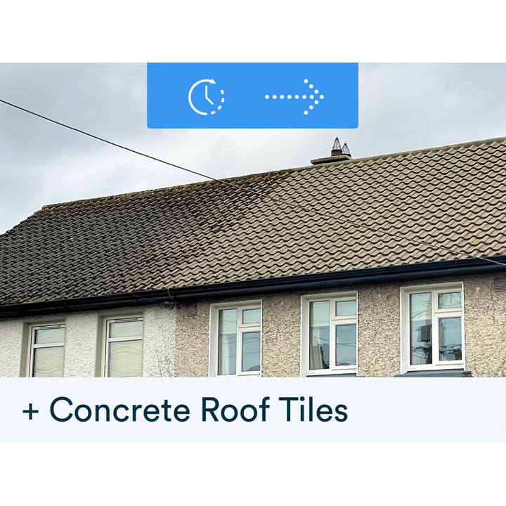 Buy the Actiwash Domestic: Powerful Outdoor Biocide now. Available for dispatch in Ireland from Ted Johnson Ltd, Naas, County Kildare, W91 XW35. Problem Solved!