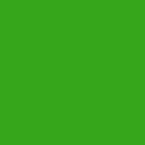 Fleetwood Evergreen