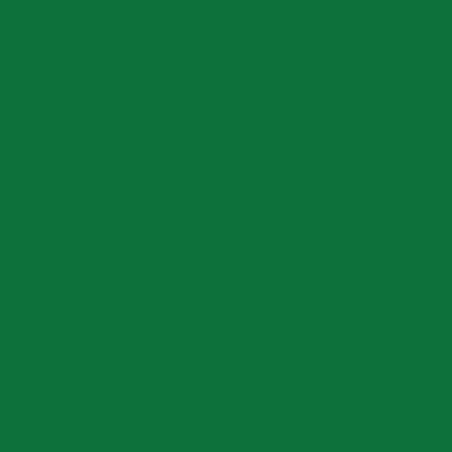 Fleetwood Football Fan Green