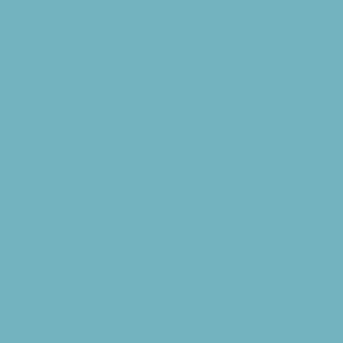 Fleetwood Buzz Blue