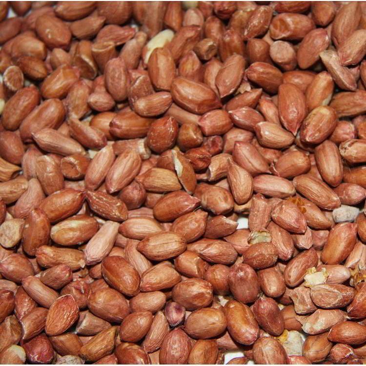 Wild Bird Peanuts