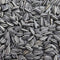 Sunflower Bird Seed