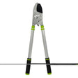 True Temper Rachet Anvil Telescopic Lopper Pruner