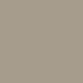 Colourtrend Paint - Colourtrend Collection - Pale Brown