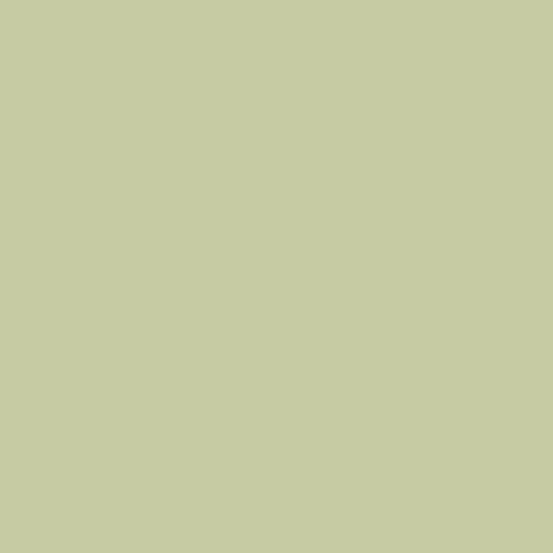 Colourtrend Paint - Colourtrend Collection - Scullery Green