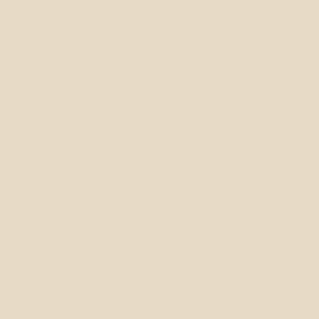 Colourtrend Paint - Colourtrend Collection - Porcelain Doll